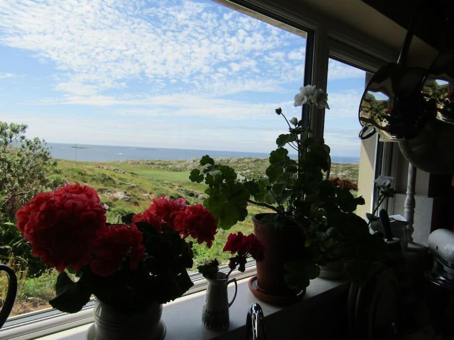 Appartement Furthest Point West à Galway Extérieur photo