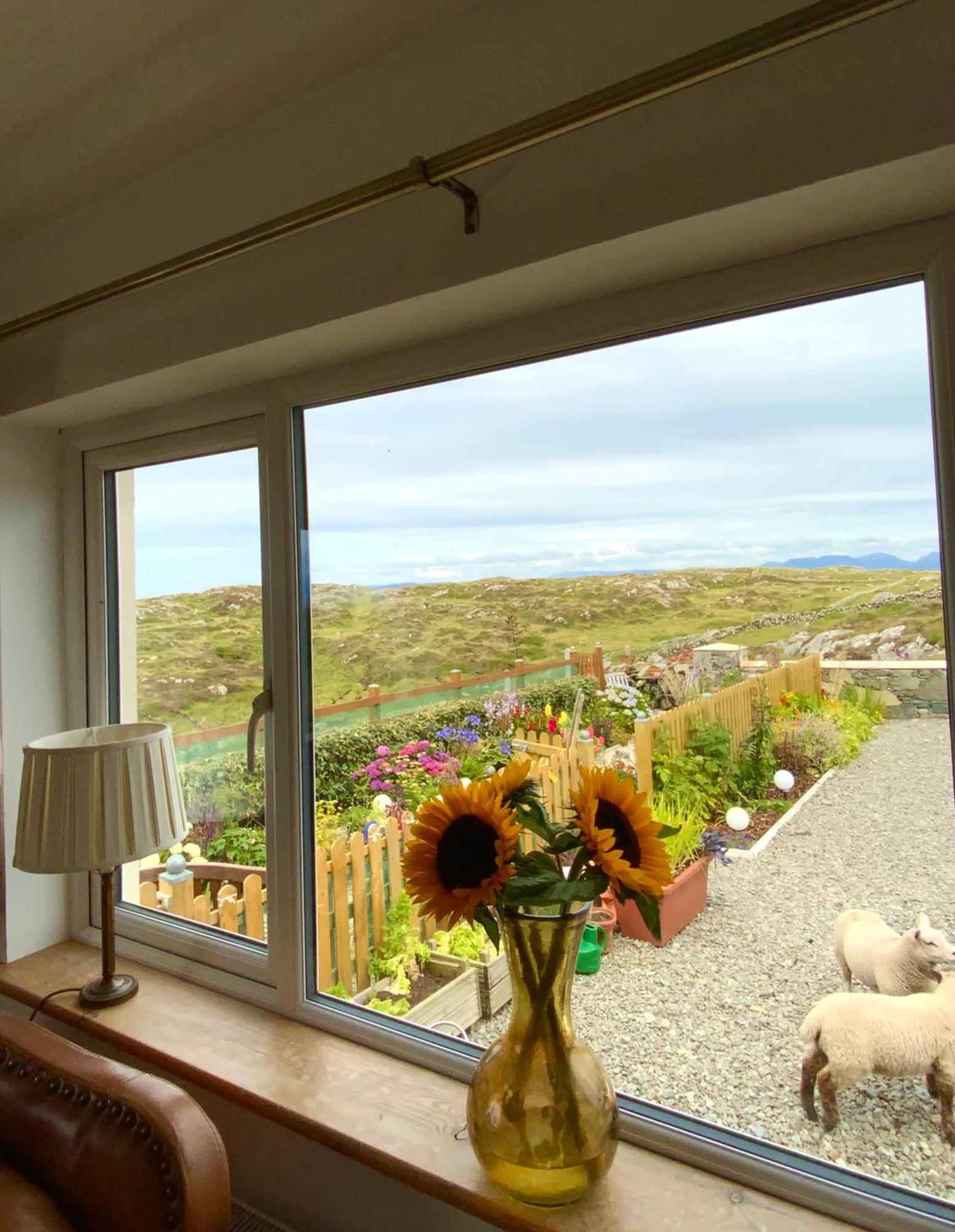 Appartement Furthest Point West à Galway Extérieur photo